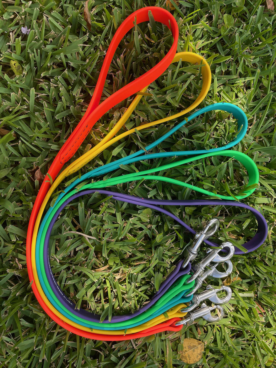 BioThane 2' Snap Lead